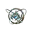 Venera